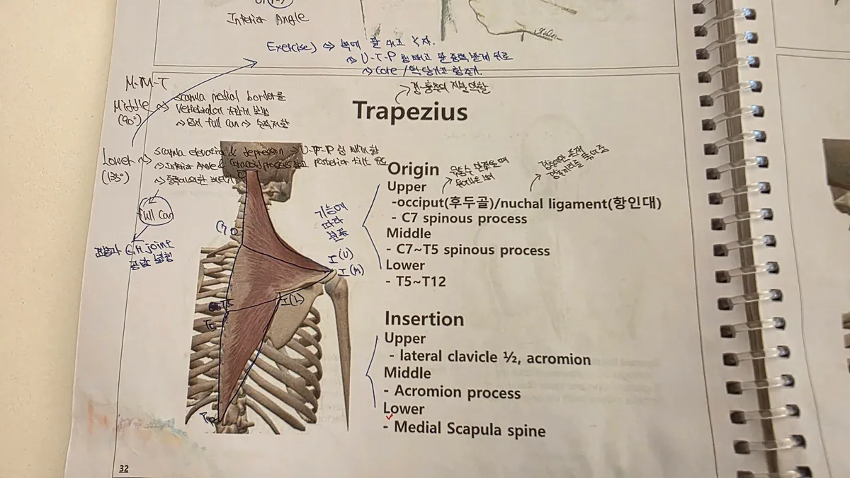 손필기로 정리한 해부학 공부 노트 8